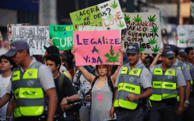 Drogas: O labirinto da esquerda