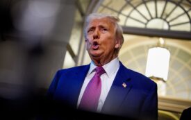 Stable Business Genius