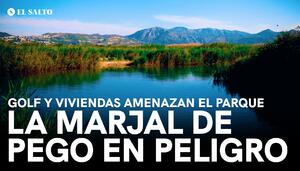 Un proyecto de campo de golf y viviendas amenaza la Marjal de Pego