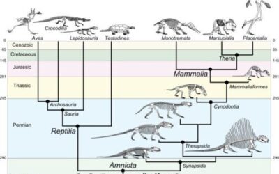 Biological Devil-ution Rather than Religious Deities Fighting over the Heavens