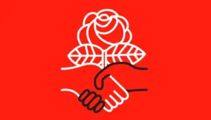 Why So Much Fear About Socialism?