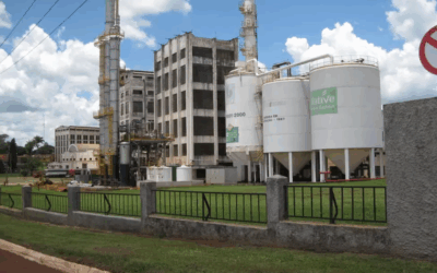 La cucaracha inspira innovaciones energéticas e industriales en Brasil – Por Mario Osava