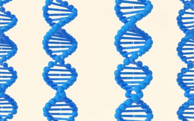 Synthetic Human Genome: Need for Inclusiveness