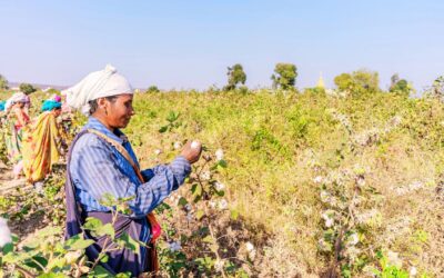 Trump’s Tariff Terrorism and India’s Stance