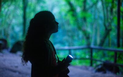 Cinema: Olhos livres para o mistério