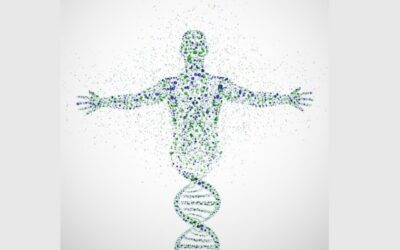 Writing the Human Genome