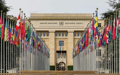 How UN Can Act Decisively to End Genocide in Gaza