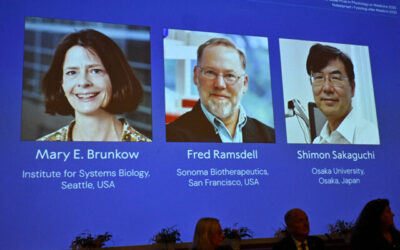 Il Nobel per la medicina assegnato a Mary E. Brunkow, Fred Ramsdell e Shimon Sakaguchi