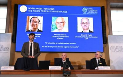 Il Nobel per la chimica assegnato a Susumu Kitagawa, Richard Robson e Omar M. Yaghi