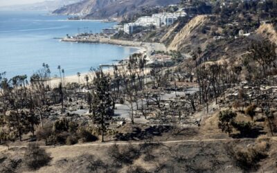 Autista Uber arrestato per gli incendi mortali del gennaio scorso a Los Angeles