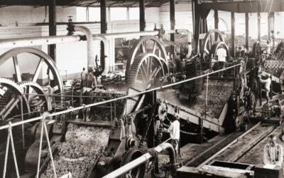 La conoscenza e il pensiero sono il vero motore dell’economia