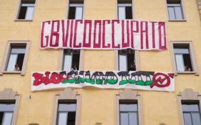 Chi sono gli studenti che manifestano per la Palestina
