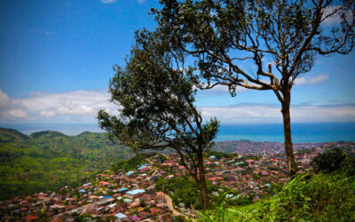 Freetown mette radici nel futuro