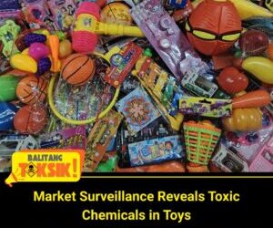 Toxics Watchdog Exposes Hidden Chemicals Lurking in Kids’ Toys, Warns of Serious Health Risks