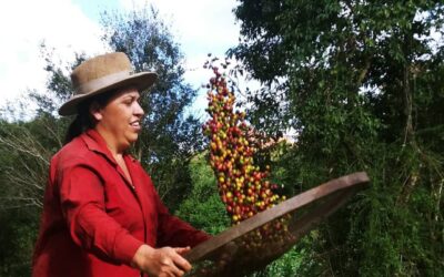 As mineiras que enfrentam o machismo com agroecologia