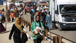 Horror en Gaza: genocidio, bioética y salud pública