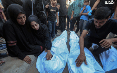 Israeli Army kills average of 100 Palestinians per day in Gaza – UNRWA