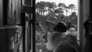 Okupación en Francia: en defensa de la magia de vivir sin propietarios