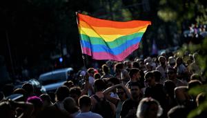 Maricón, degenerada, paguita: así es el lenguaje LGTBIfóbico en X que impulsan grupos antiderechos y bots