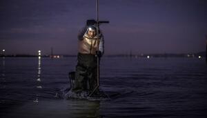 ‘Altri non’, pero ¿a qué decimos ‘sí’?