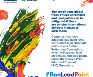 Civil Society and Industry Groups Put Consumers On Guard against 228 Imported Paints with High Lead Content