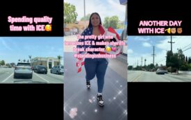 The Soccer Mom Who Strikes Fear Into the Heart of ICE