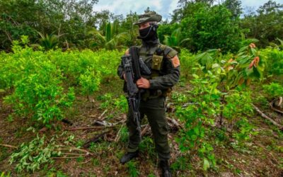 Toward an Anti-Capitalist Drug Policy