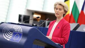 La motosierra de la UE al servicio del capital fósil
