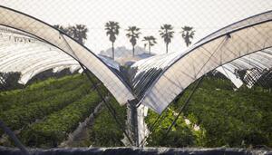 La cesta de la compra de los pobres ha subido un 13% más que la de los ricos en cinco años