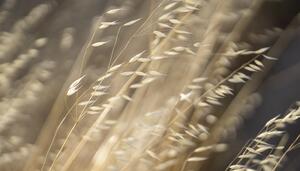 ¿Nos estamos volviendo todos al pueblo? (o por qué Barcelona me retiró su bendición)