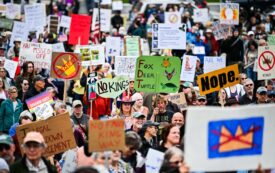 No Violence at No Kings Day