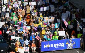 The Double-Edged Virality of Portland’s Protests