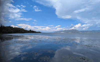 Red goes green: witnessing the truth of China’s ‘ecological civilisation’
