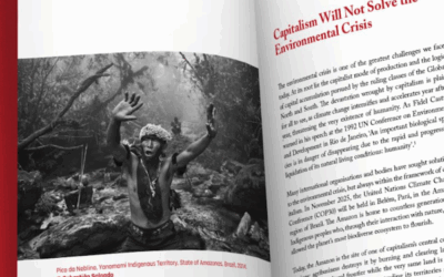 Climate change sets workers’ feet on fire: The Forty-Second Newsletter (2025)