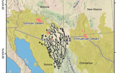 Sky Islands: Jaguars, Apaches, Spirits, and the “Last” Emblem of a Dying Interloper Colonializing Genocidal Race