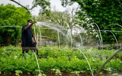 Agroecologia, um campo para a justiça climática