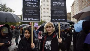 “Liberación animal es justicia social”: Madrid acogerá una nueva marcha antiespecista el 1 de noviembre