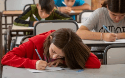 Argentina | La educación como excusa: cinismo, mercado y desposesión – Por Dario Balvidares