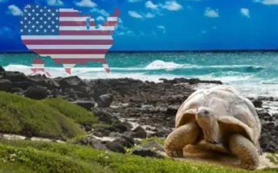 Noboa quiere autorizar base militar de EEUU en las Galápagos