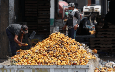 México, el país de América Latina que más alimentos desperdicia