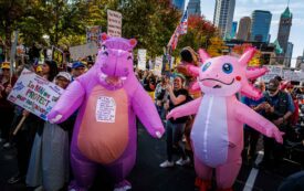 No Kings Day Was a Joyous Carnival for Democracy