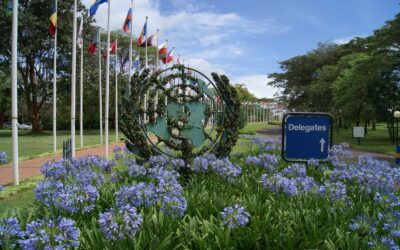 La ONU se quiere ir de Nueva York: ¿a Nairobi?