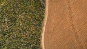 La nueva colonización de la Amazonía bajo la bandera del cambio climático
