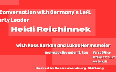 [EVENT | November 13] A Conversation With Heidi Reichinnek