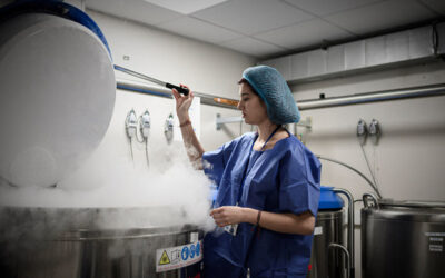 In Italia conservare gli ovuli è un privilegio per poche