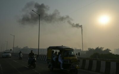 Il mondo verso un riscaldamento catastrofico di 2,5 gradi, secondo le Nazioni Unite