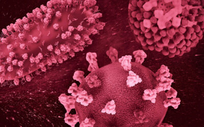 Il covid-19 si sta diffondendo di nuovo