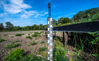 Come l’Ungheria fa i conti con la crisi climatica