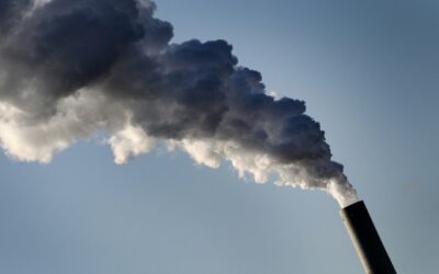 Le emissioni di anidride carbonica verso un nuovo record nel 2025