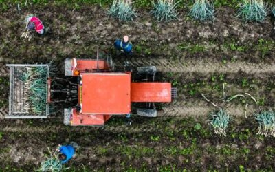 Gli agricoltori europei faticano a trovare eredi per la loro attività